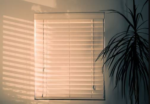 Add Convenience to Your Everyday Life with Smart Blinds